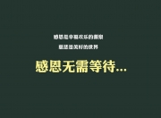 开云体育中国-橙衣军团的孤注一掷，范戴克致命一击，奥地利用控球杀死沙特童话