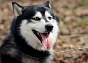 开云体育登录-英超争冠之夜，卡瓦哈尔用一次铲抢，点燃全队的最后一舞