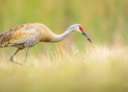 开云下载-乌拉圭铁血防线VS尤文盾牌，帕尔默硬仗之王降临，谁将撕裂夜空？