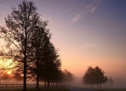 开云体育中国-风暴眼里的持画人，小贾伦的墨城之夜如何改写世界杯叙事