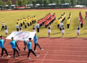 开云-匈牙利选手全力以赴再创辉煌新高！的简单介绍