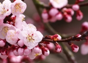 开云体育登录-北非风暴席卷撒哈拉长城，埃及冲垮摩洛哥，劳塔罗再证大场面先生本色