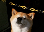 开云体育-旧时代的韧性，当莫德里奇的优雅与巴拉圭的铁壁，同时刺痛这个时代