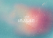开云体育app-隐形缰绳，范弗利特三节掌控与独行侠末节逆转的艺术