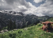 开云体育-篮球巨兽的钢铁足音，当文班亚马在NBA赛场上演英超争冠夜