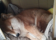 开云体育app-永恒的三分钟，2026世界杯之夜，乔治如何让时间成为数字的俘虏