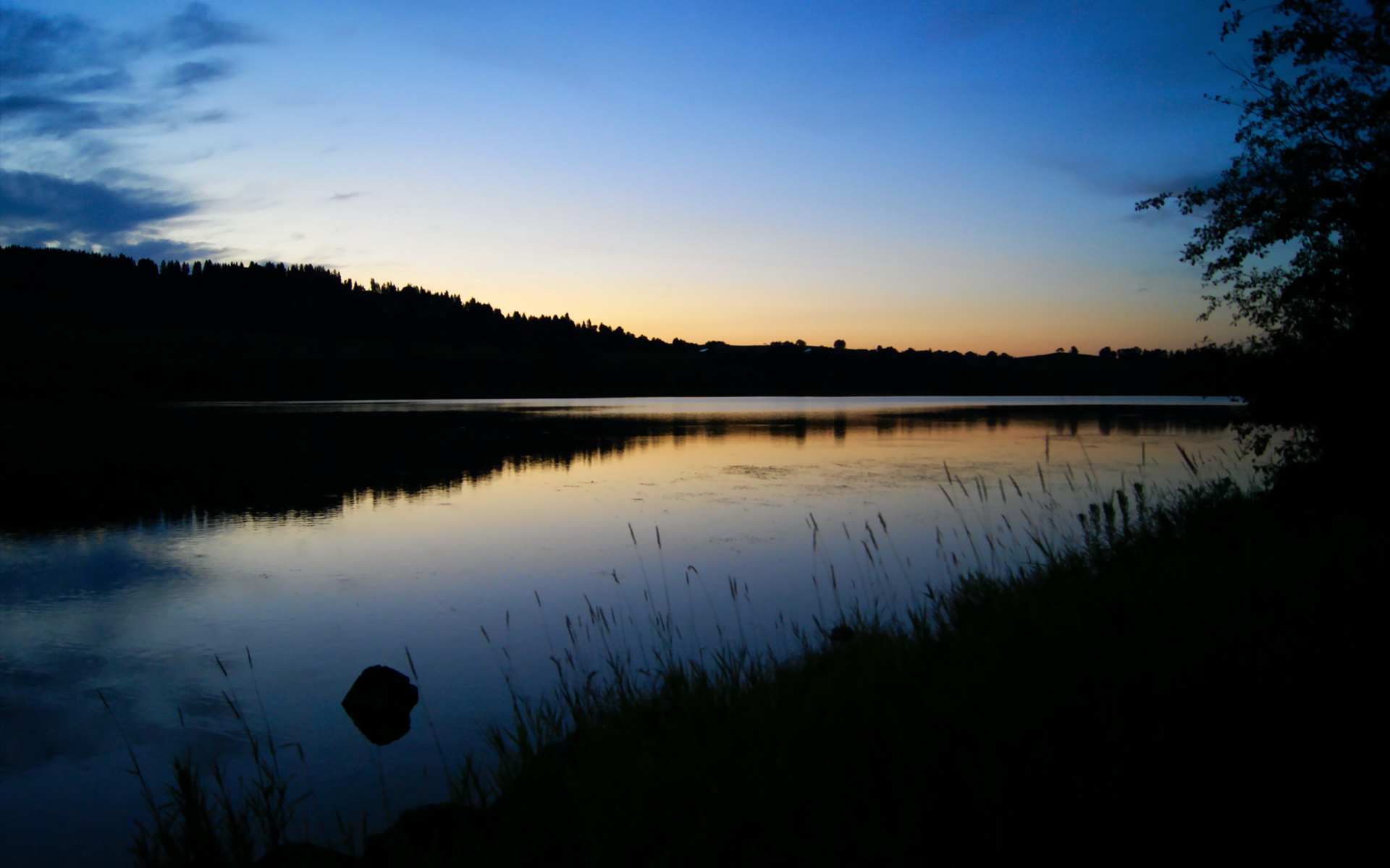 刹车与投篮,人类对抗重力的两种姿势