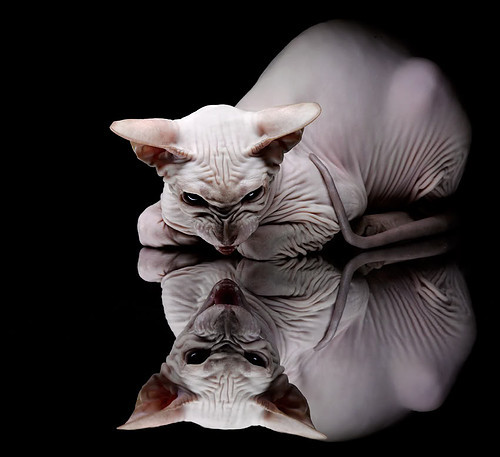 以凡人之躯，行神迹之事，哥斯达黎加的战术铁幕与内马尔的破局之战