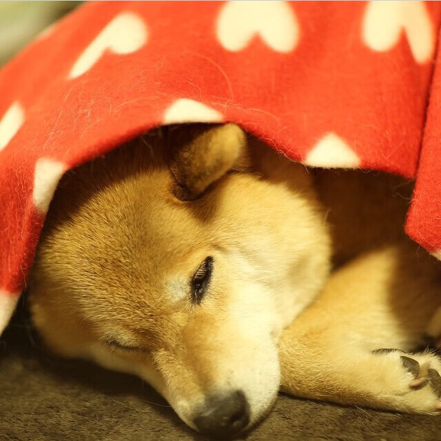 亚洲刺客的致命一击，黄喜灿如何让希腊神话在乌拉圭人面前黯然失色