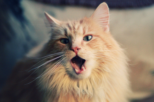 霓虹战场上的冰与火之歌，基米希如何用1%的清醒赢下F1最残酷街道赛