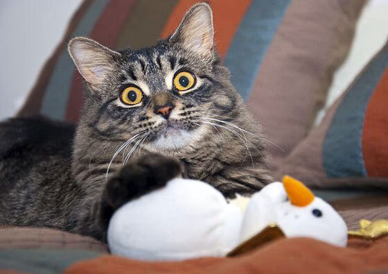 球场指挥官,詹姆斯如何用爵士乐般的节奏打崩对手?