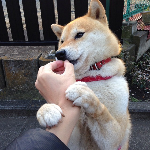 欧冠霸主拜仁碾压曼城晋级,凯塞多闪耀美加墨世界杯接管赛场