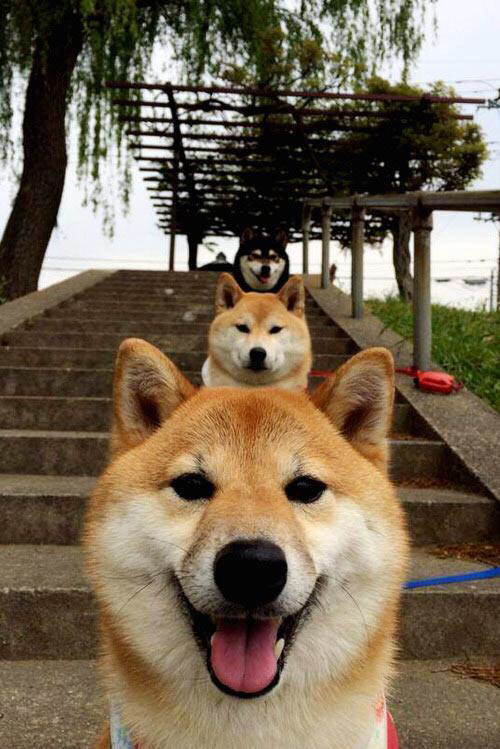 东决烽火夜,开拓者用团结冰封太阳神话,当团队篮球冲垮巨星银河