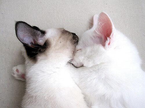 奥运之门在12分钟内关闭，阿什拉夫末节神级演出，巴西险胜丹麦