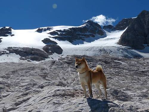 英超争冠之夜与伦纳德的杀伤,竞技体育本质是寒芒一点