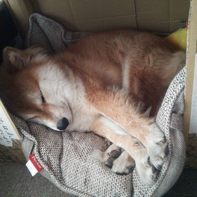 永恒的三分钟，2026世界杯之夜，乔治如何让时间成为数字的俘虏