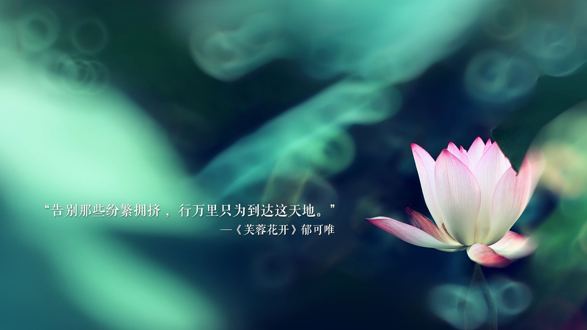 冰与火之战,2026世界杯D组,美国钢铁防线碾压冰岛,梅西独舞点燃北美之夜