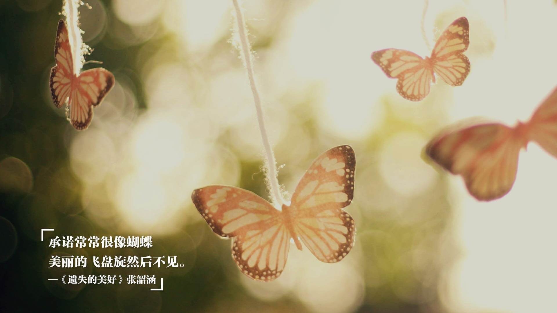 桑巴狂想曲,当罗德里戈在2026世界杯B组掀起红色海啸,丹麦童话碎成数据泡沫