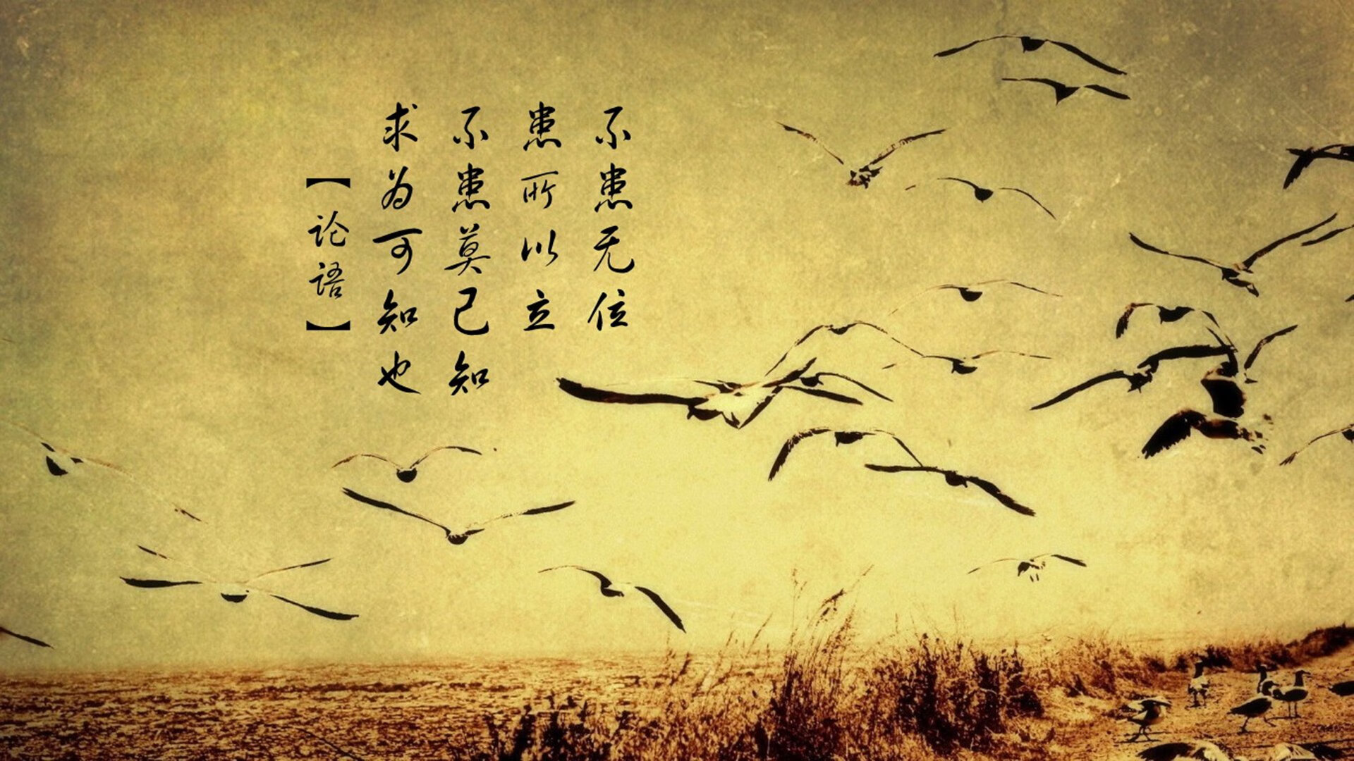 唯一性的戏剧，美利坚的逆转之夜，哈基米在D组写下不朽篇章